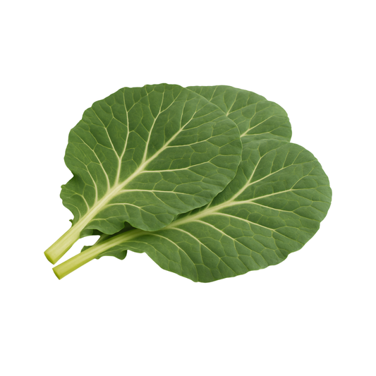 Collard