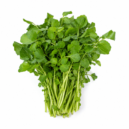 Cress (Upland Cress)