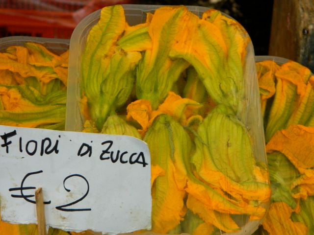Seeds - Zucchini (Edible Flower / Zucchino da Fiore)