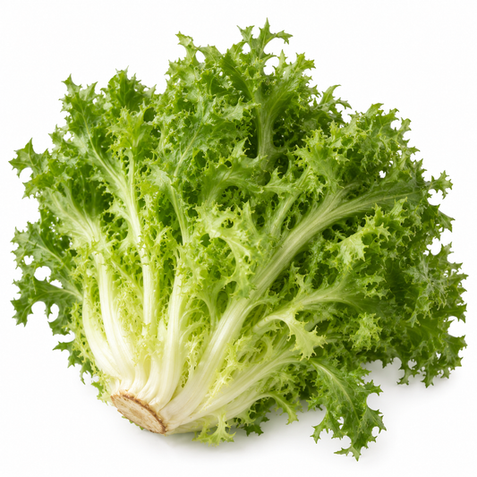 Endive - Curlesi