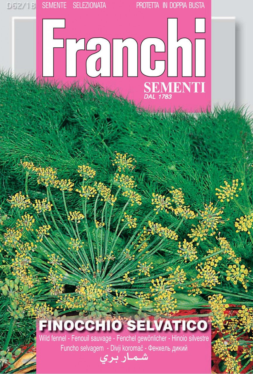 Seeds - Wild Fennel (Flowering / Finocchio Selvatico)