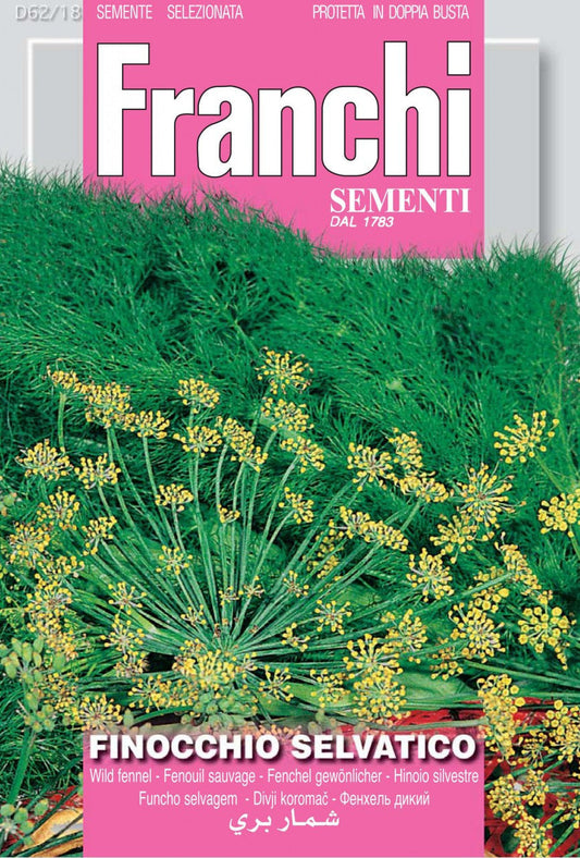 Seeds - Wild Fennel (Flowering / Finocchio Selvatico)