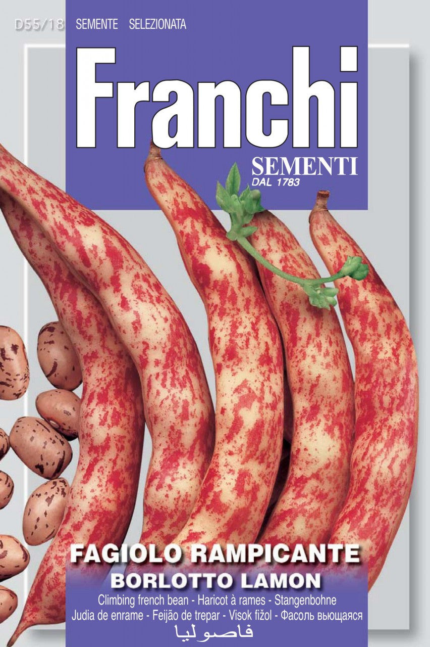 Seeds - Bean (Borlotti / Cranberry - Lamon)