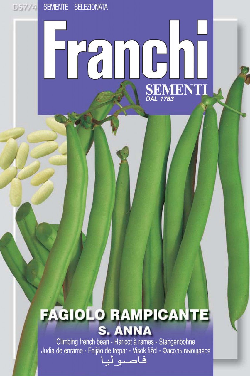 Seeds - Bean (French Pole - Santa Anna)