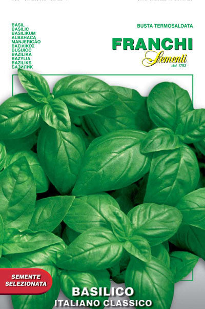 Seeds - Basil (Italiano Classico)