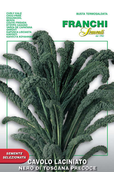 Seeds - Kale (Lacinato / Dinosaur - Nero di Toscana)
