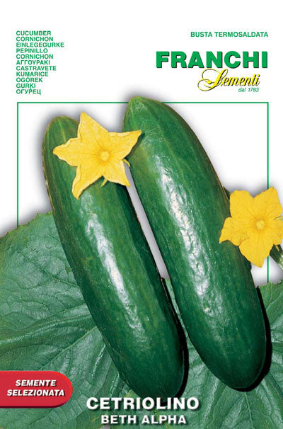 Seeds - Cucumber (Beit Alpha)