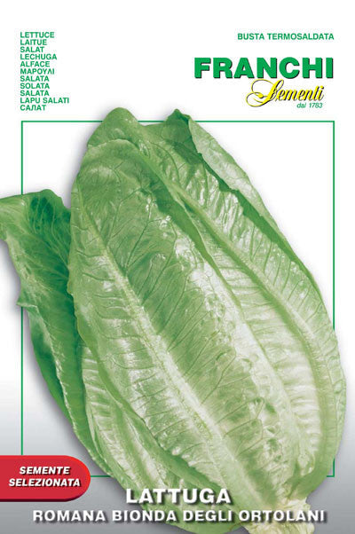 Seeds - Lettuce (Romaine / Bionda Ortolani)