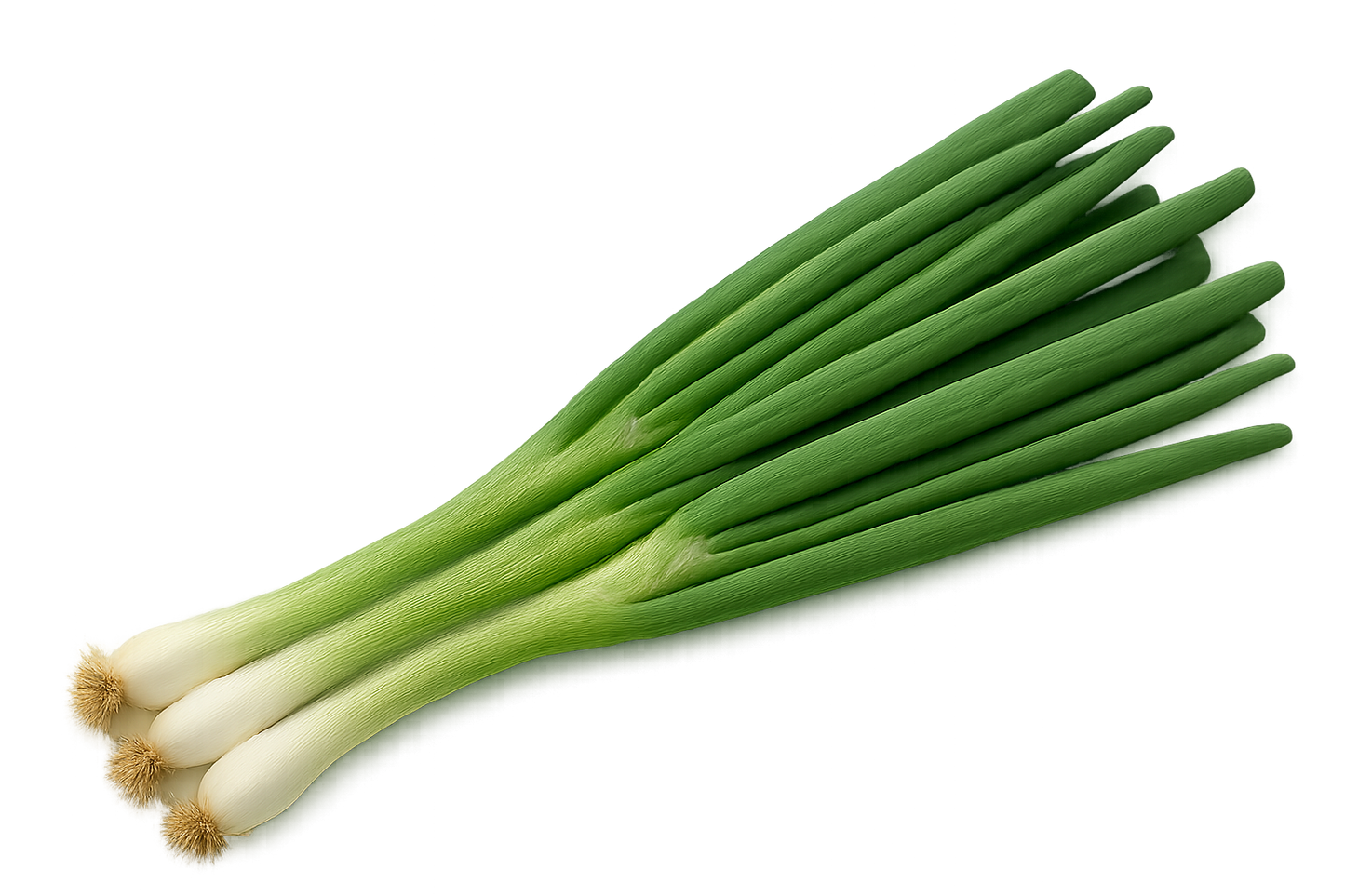 Farmers Bundle