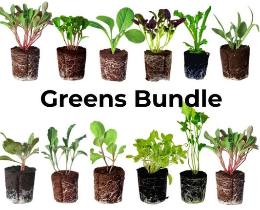 Bundle - Greens Bundle
