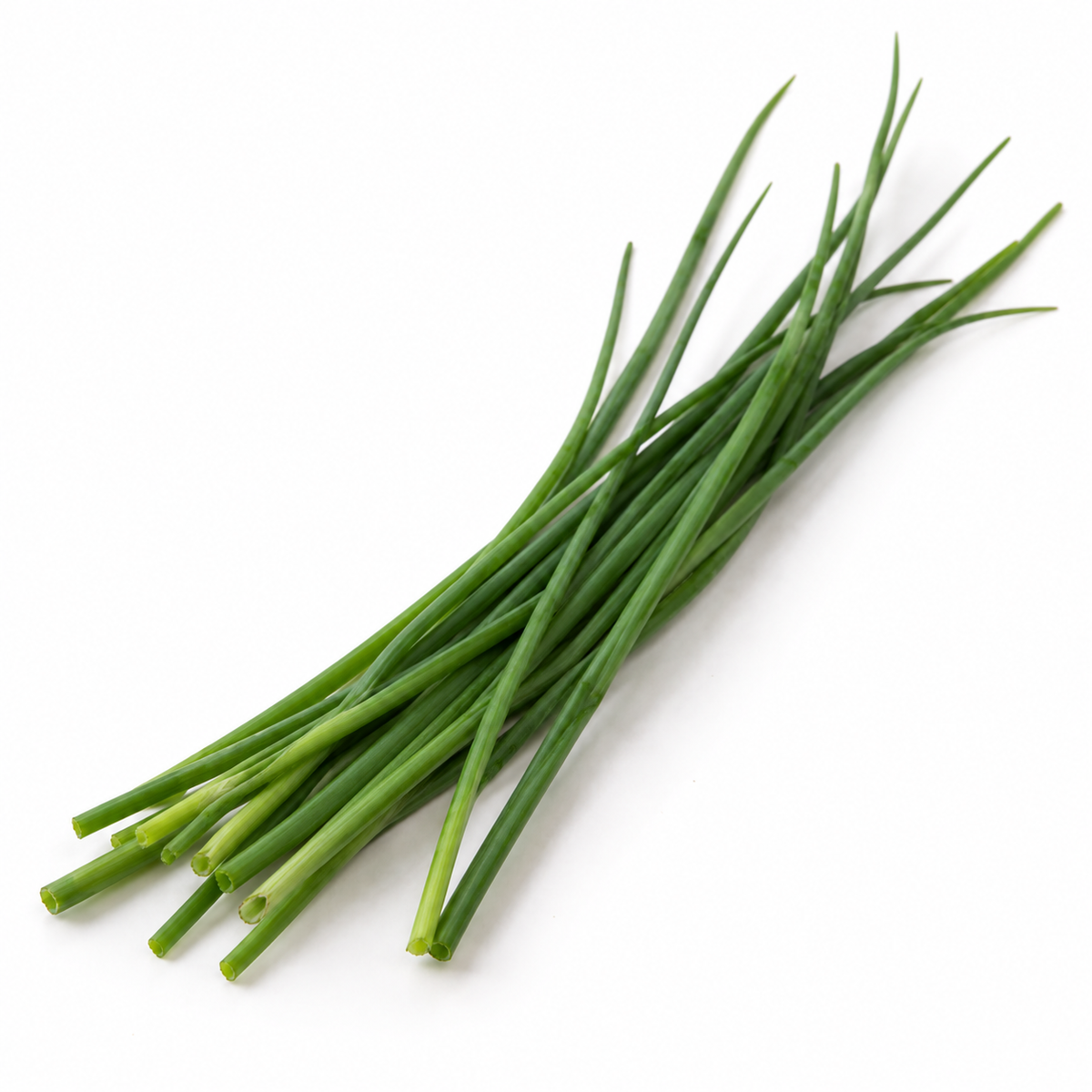 Herb - Chives