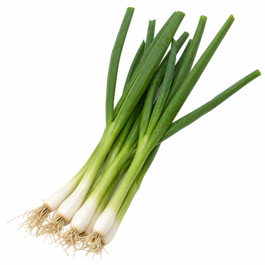 Herb - Green Onion