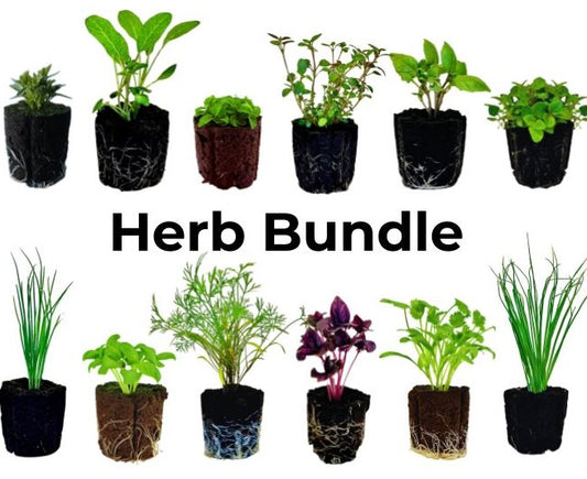 Bundle - Herb Bundle
