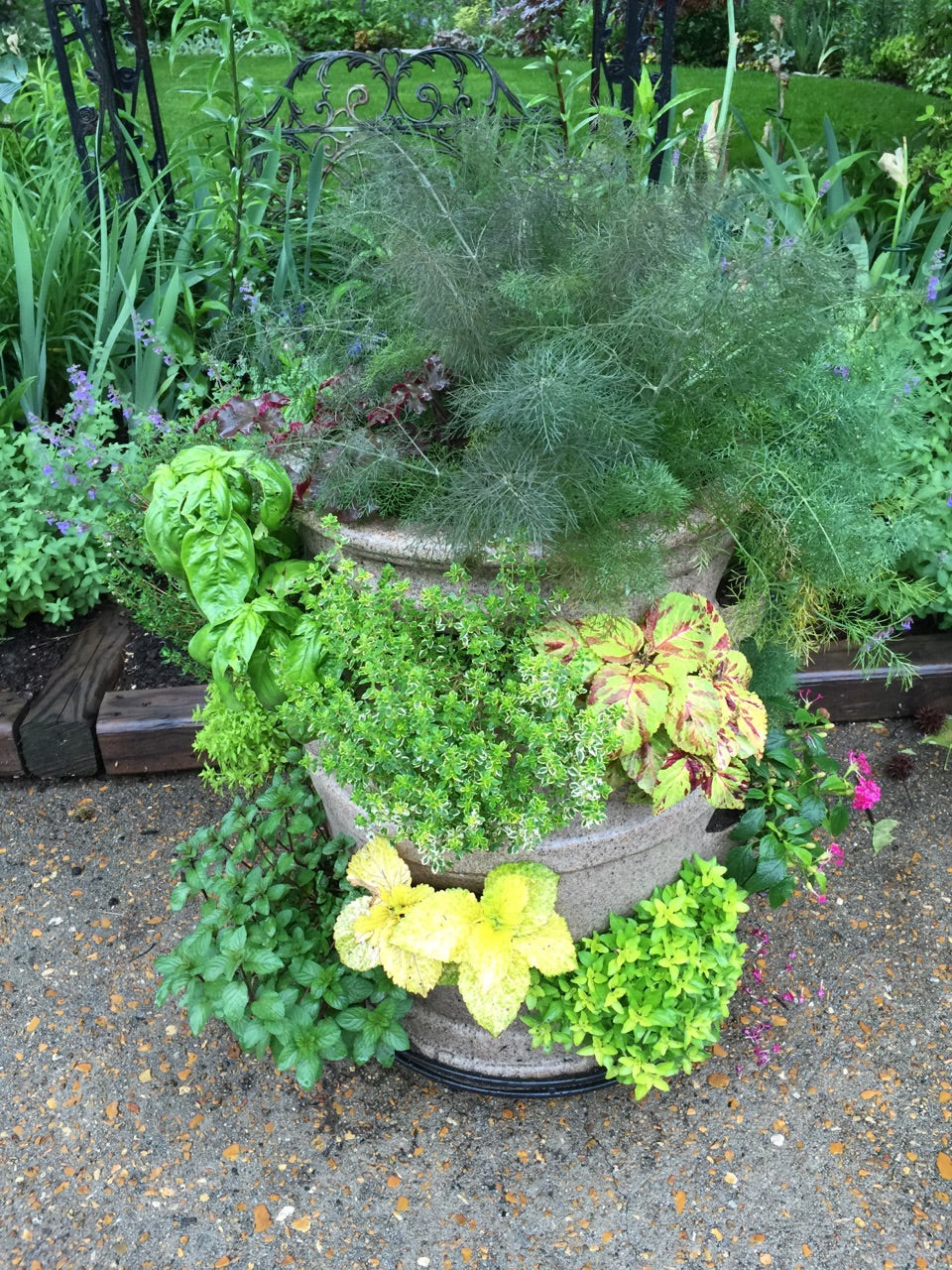 Patio Pocket Planter