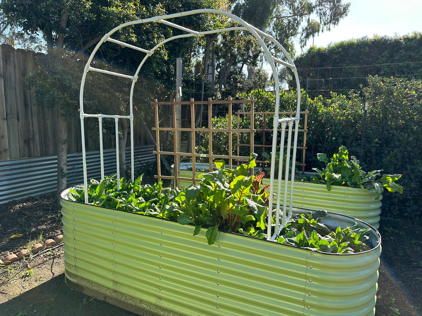 Trellis - Garden Arch (95" High 59" Wide)