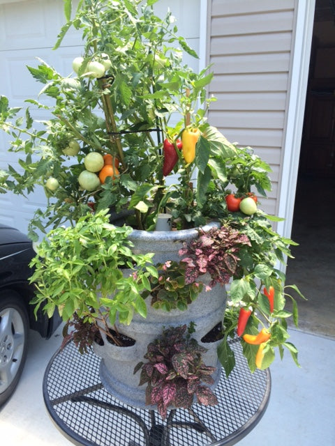 Planter - Patio Pocket (Gray Granite)