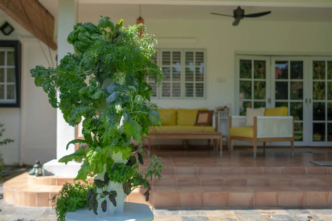 Aerospring 27-Plant Outdoor System