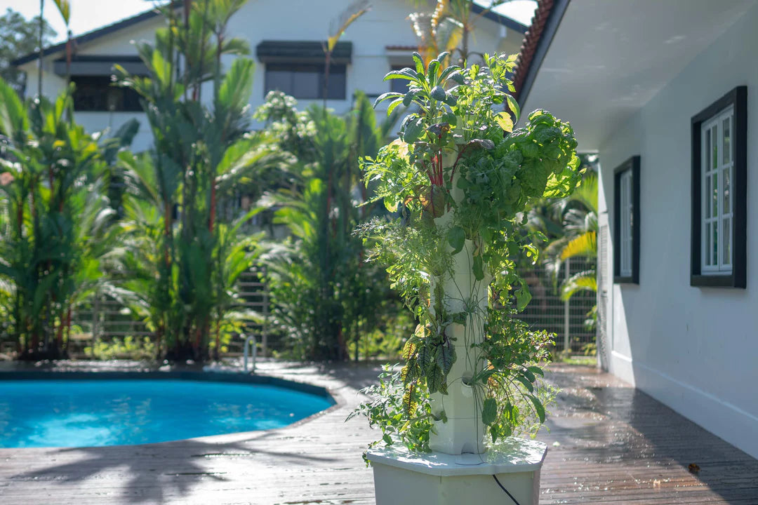 Aerospring 27-Plant Outdoor System