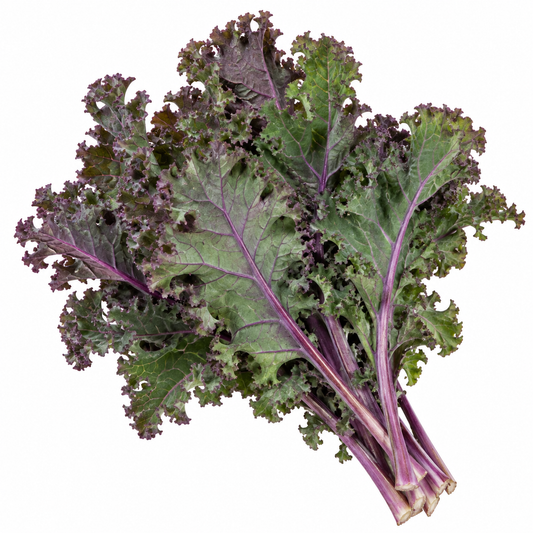Kale - Red Frilled