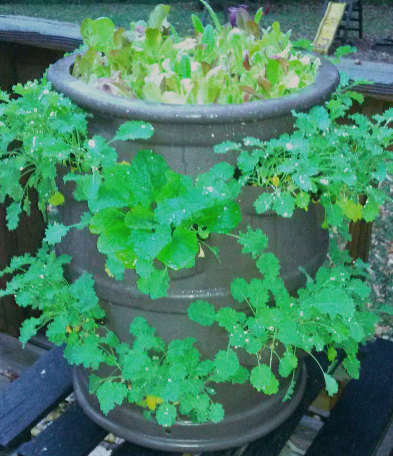 Planter - Patio Pocket (Chocolate Brown)