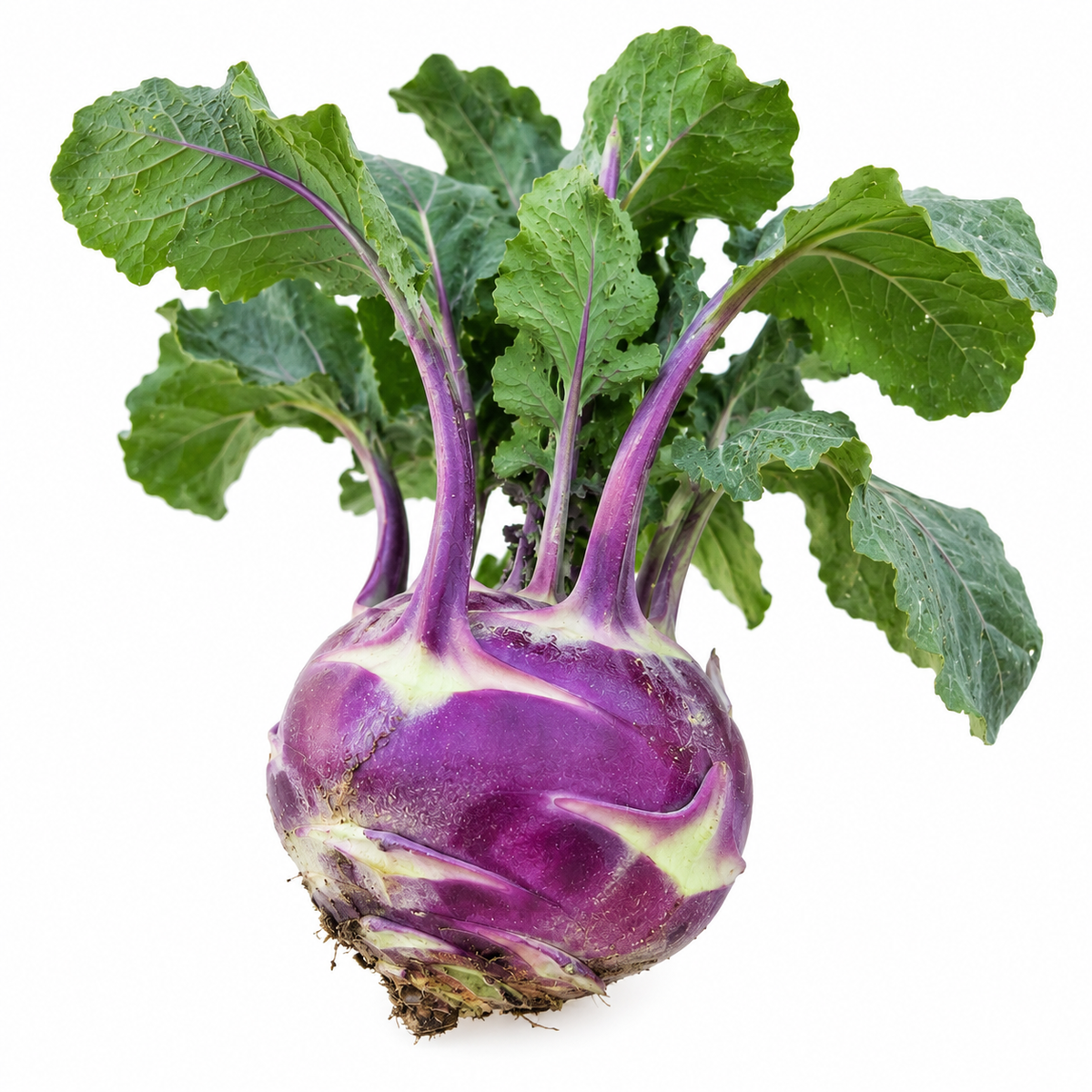 Kohlrabi