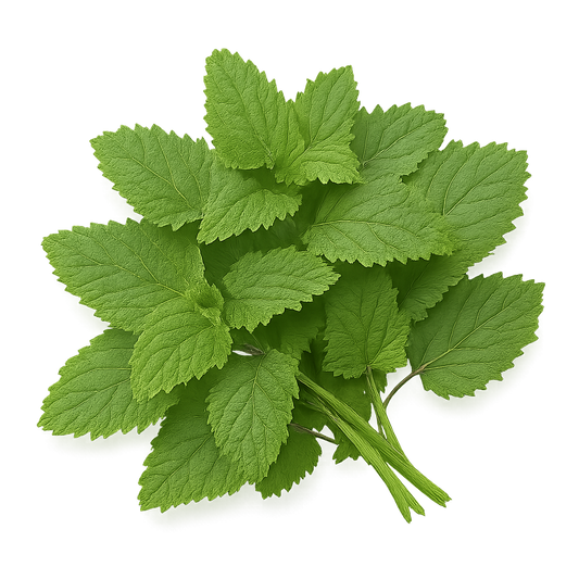 Lemon Balm