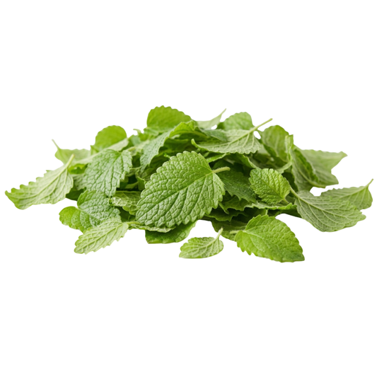 Herb - Lemon Balm