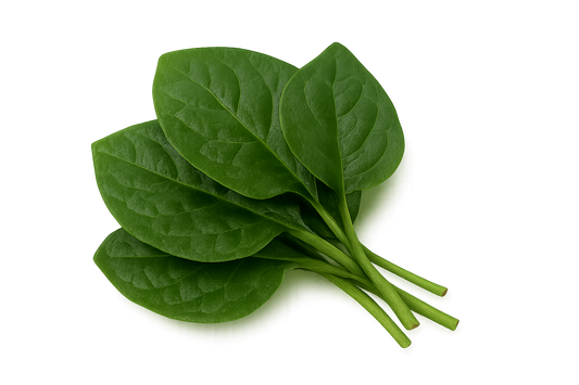Malabar Spinach