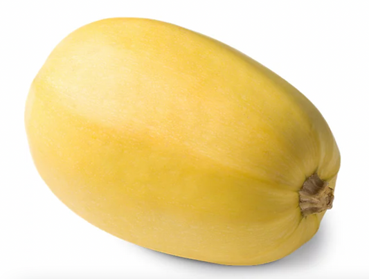 Squash - Spaghetti