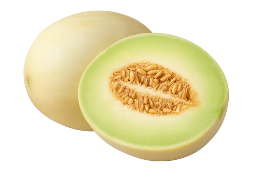 Melon - Honeydew