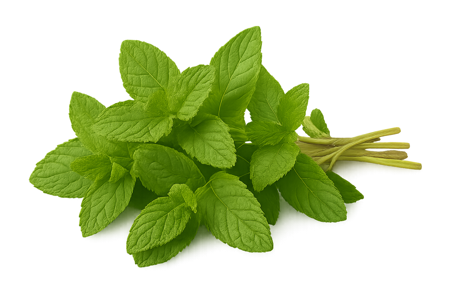 Mint