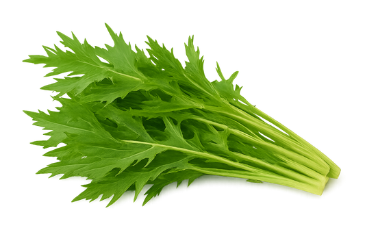 Mizuna - Green