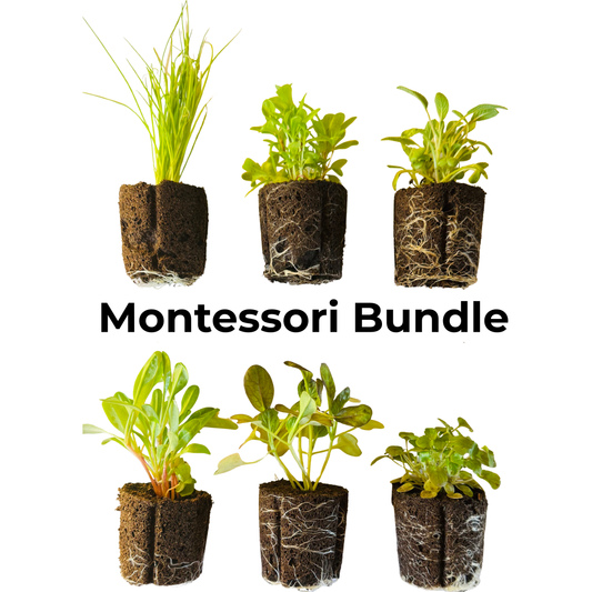 Montessori Bundle