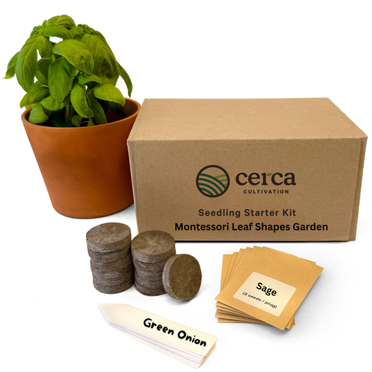 Seedling Starter Kit - Montessori Leaf Shapes
