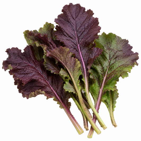 Mustard - Purple