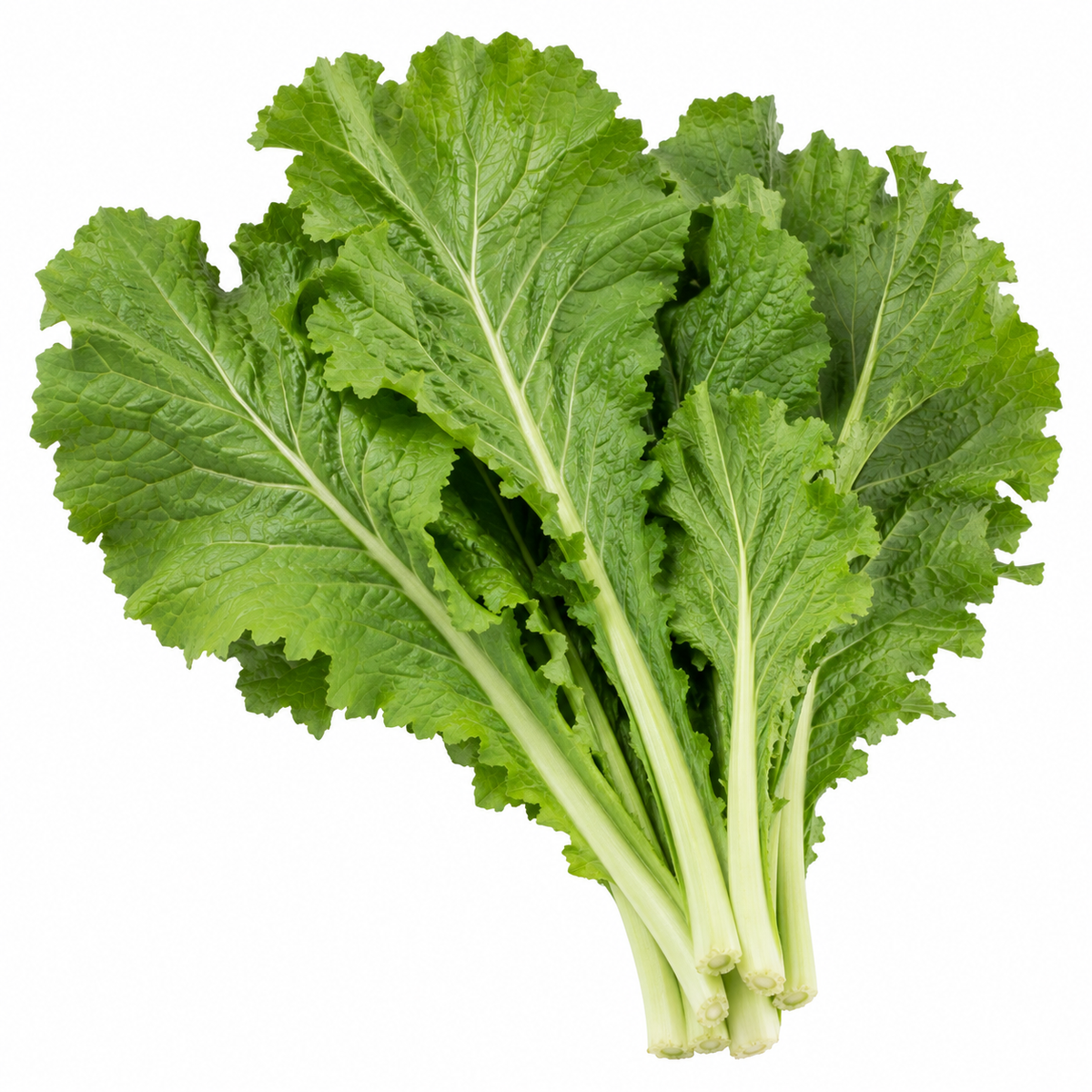 Mustard - Flat Leaf