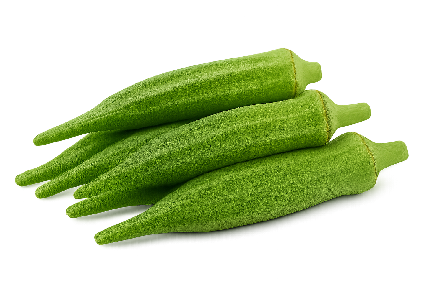 Veggie Bundle
