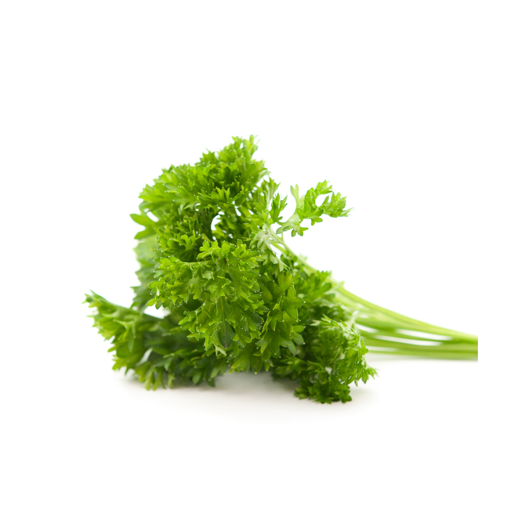 Herb - Parsley (Curly)