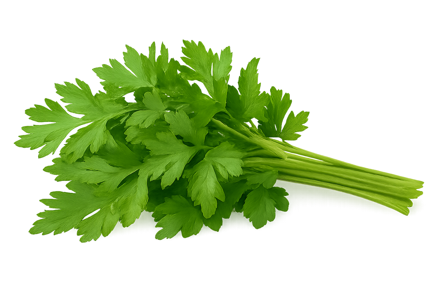 Farmers Bundle