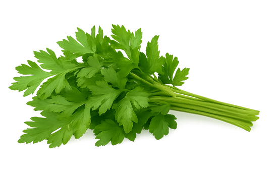 Parsley - Italian Flat