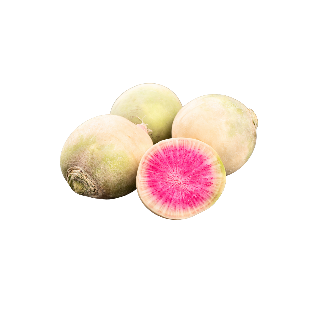 Radish - Watermelon
