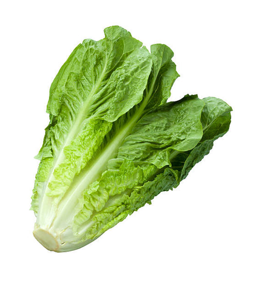 Lettuce - Romaine