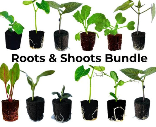 Bundle - Roots & Shoots Bundle