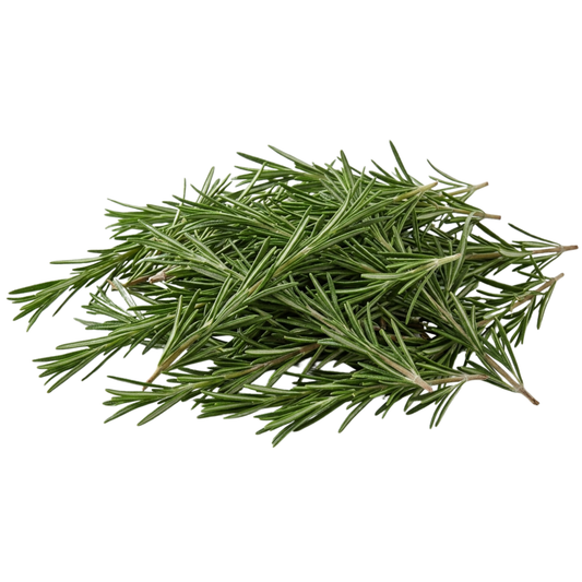 Herb - Rosemary