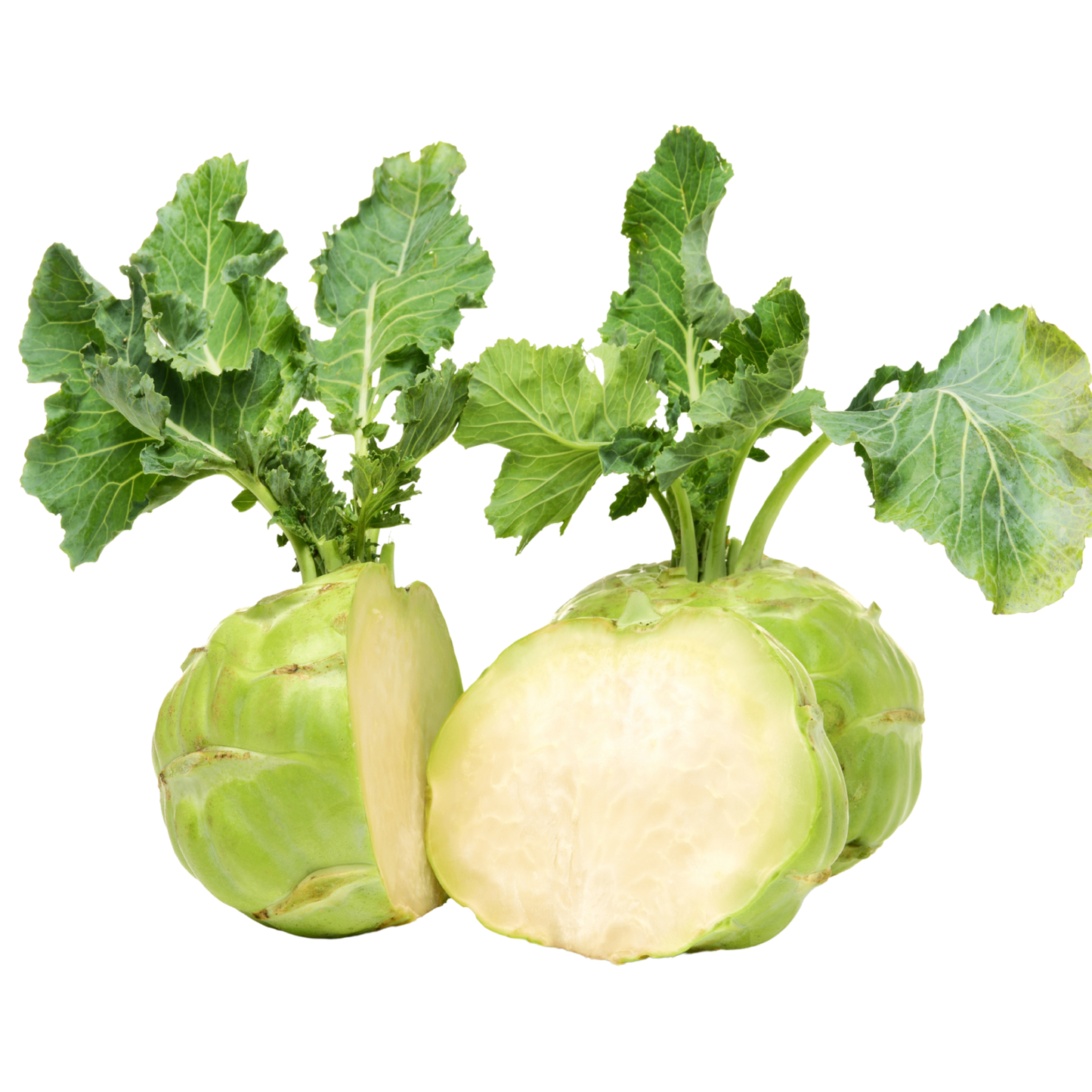 Kohlrabi