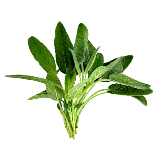 Herb - Sage (Broadleaf)