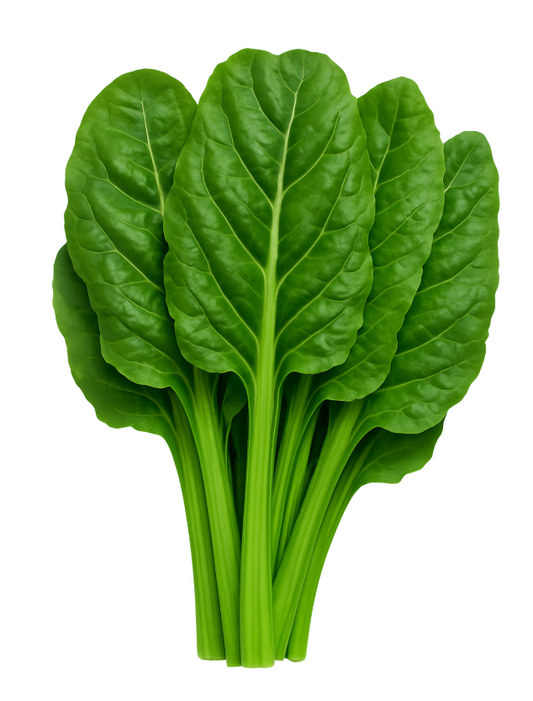 Swiss Chard - Italian