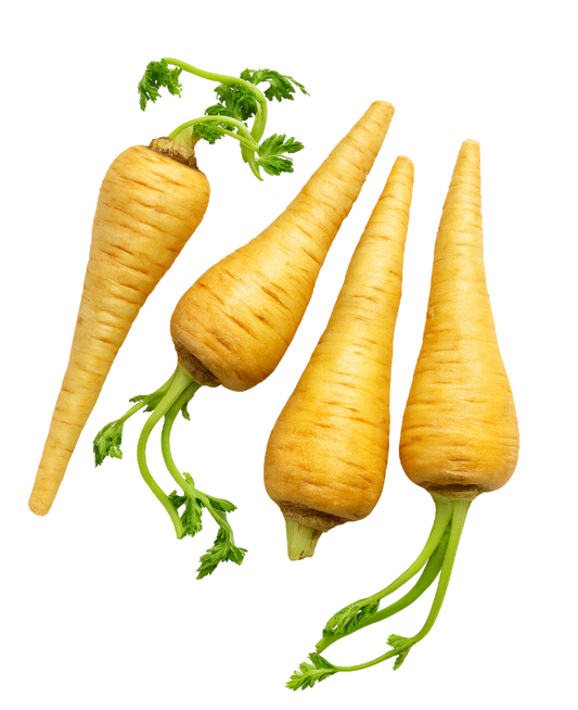 Parsnip