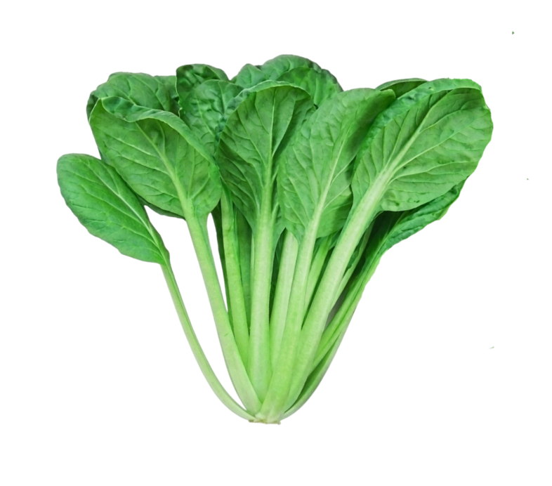 Tatsoi - Green