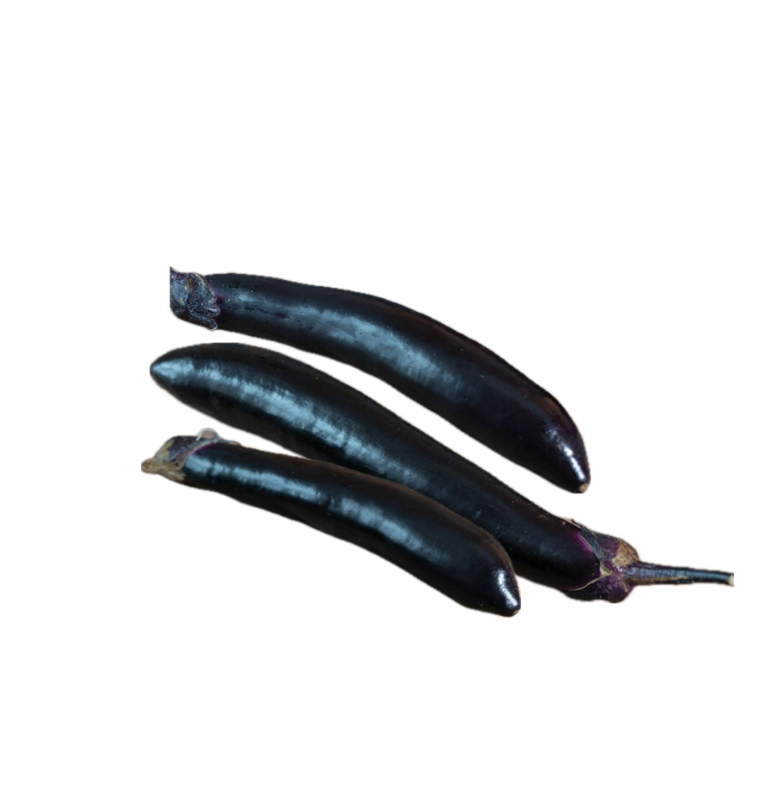 Eggplant - Long